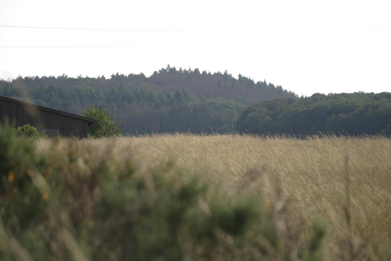 Schalkenbach Rech Hof Urlaub Auf Dem Bauernhof 아파트 외부 사진