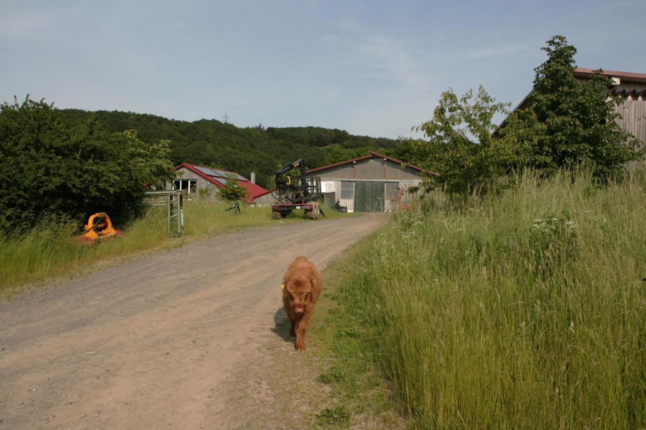 Schalkenbach Rech Hof Urlaub Auf Dem Bauernhof 아파트 외부 사진