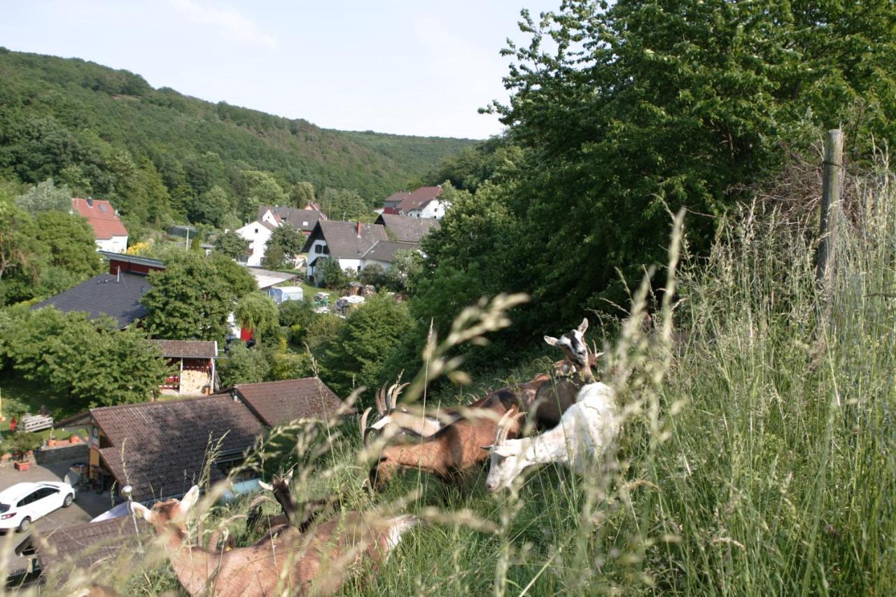 Schalkenbach Rech Hof Urlaub Auf Dem Bauernhof 아파트 외부 사진